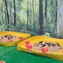 올망유치원 이미지