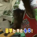 바른치킨무거점 | 아 원!투!원투!!