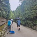 홍성의료복지사회적협동조합 이미지