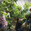 보안면사무소 이미지