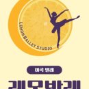 레몬발레 네이버블로그