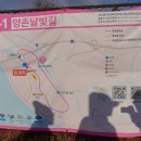 여강길(9-1코스 양촌달빛길 Daum카페