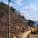 고대행정사사무소 네이버블로그