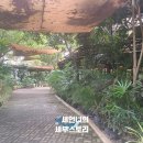 제이예스마트 이미지