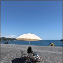 피크닉109태화강점 | 울산 피크닉 준비 고민된다면 피크닉109 활용 방법
