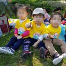 예일어린이집 이미지