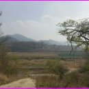 전원오토캠핑장 이미지