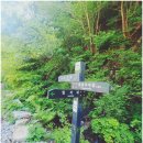 대곡3교 | 치악산(황골탐방소~입석사~황골삼거리~비로봉~사다리병창길~ 세렴폭포 삼거리~구룡사~국공 관리사무소...