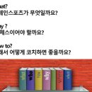 브레인 스포츠 체스 이미지
