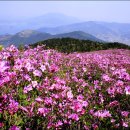 남해-214 이미지