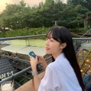 빈스타
