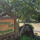 중문그린힐통나무펜션 | 서귀포펜션 중문단지숙소추천 &#39;그린힐펜션&#39;