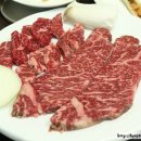 양천야채