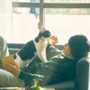 나만 없어 고양이 이미지