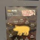 여장군 | [홍성 맛집] 결혼 준비 중 기력 보충! 가성비 끝판왕 홍성 고깃집 '여장군' 후기