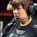 월드타이거즈 이미지