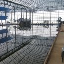 선어대낚시터 이미지