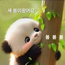 삶에는 연습이 없다! 이미지