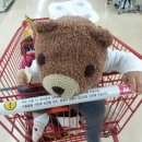 곰팅이 PC 이미지