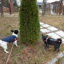 한들방죽공원 이미지