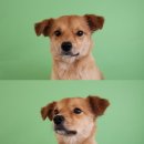 견생유치원 이미지