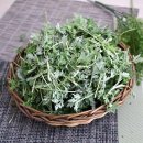 자연대로 이미지