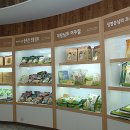 여주-0052 이미지