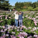 우리동네여행사 | 제주도 여행 9인승 스타리아 기사 포함 단독 차량 이용 후기