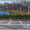 모텔겨울왕국 이미지