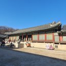 율곡로 | 서울 창덕궁 [3] / 2025.12