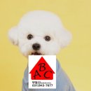 ABC부동산공인중개사사무소 이미지