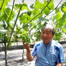 이석구농장 이미지