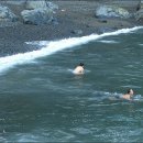 짝지해수욕장 Daum카페