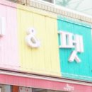 이쁘개 건강하개 | 강아지분양가격 싸개 건강하개 이쁘개