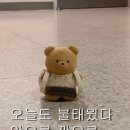 심양청담 | 압구정로데오 맛집 추천|양꼬치 심양 청담본점 찐 후기