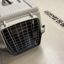 대경연합동물영상센터 이미지