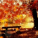 감전동 사상구청 정문 이미지