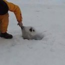 김가네 인덕대점 이미지