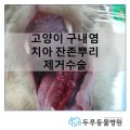 가남동물병원 이미지