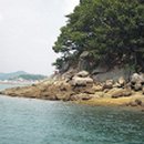 머구섬