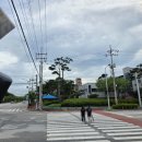 신호대기 횡단보도 이미지