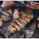 중앙돼지 이미지