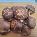 간단 반찬 요리! 쫄깃한 표고버섯 볶음 이미지
