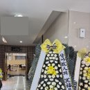 vip타운