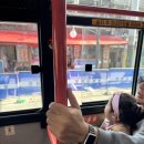 약령시장 이미지