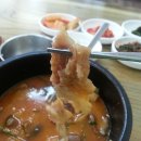 수구레타운 이미지