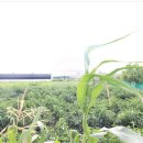 경서충전소 이미지