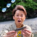 캠핑스토리