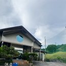 리얼숏게임-퍼팅 | 가성비 끝판왕 파3! 에버힐 GC 19홀 리얼 후기 (초보 연습, 준비물 꿀팁) 🍯🐝