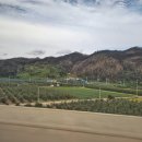 해파랑길 20코스 (강구항 → 영덕해맞이공원) 영덕의 해안길 따라서 ~~ 2. 이미지